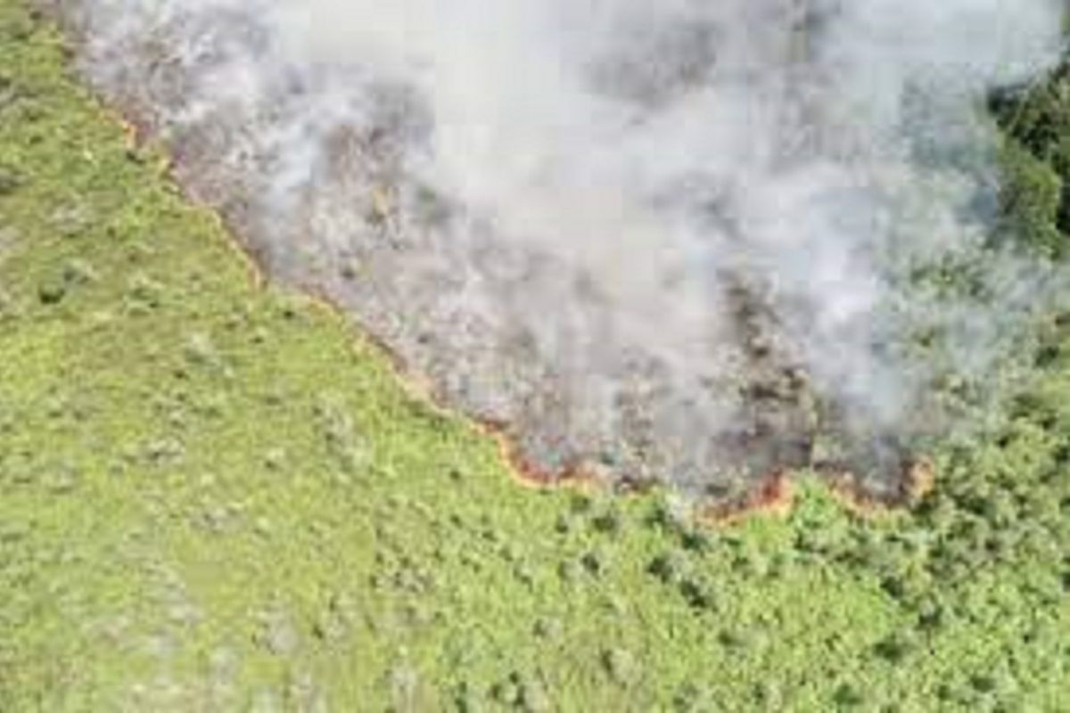 Kebakaran lahan Kotawaringin Timur dilaporkan meluas, perlu pemadaman via udara