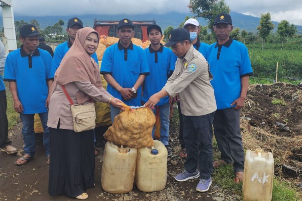 BSIP Jambi distribusi benih kentang varietas Granola G2 ke petani Kerinci