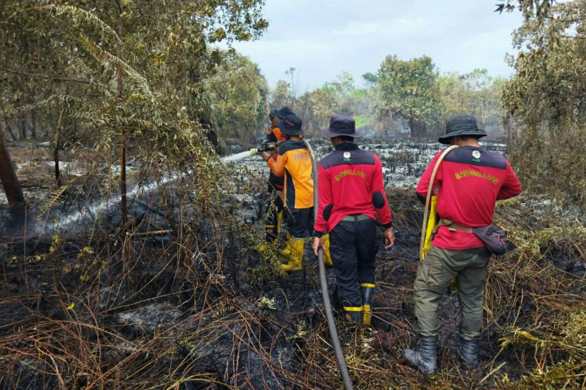 BMKG deteksi sebanyak 156 titik panas di Kaltim