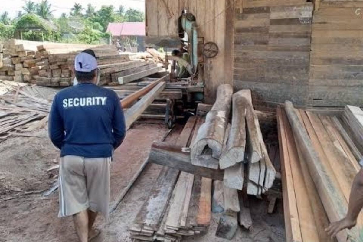 Pemkot Padangsidimpuan akan tertibkan kilang kayu liar