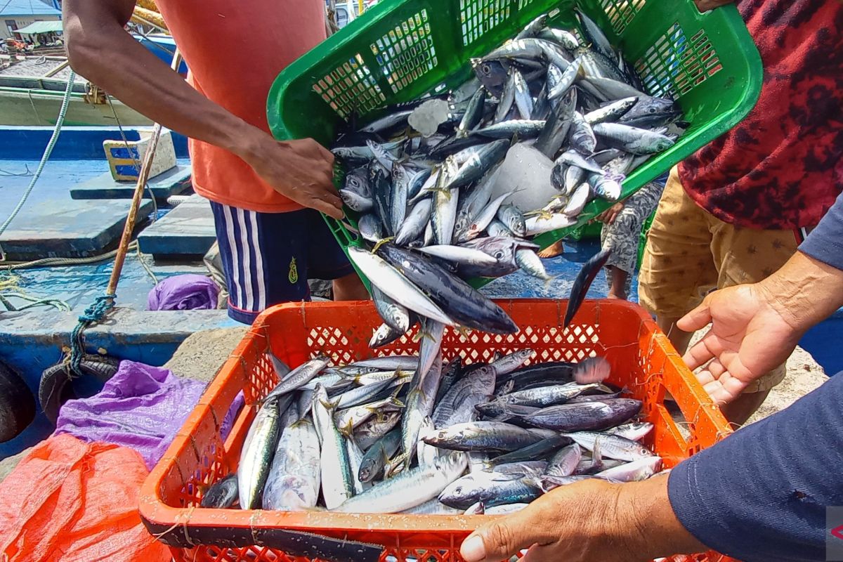 Harga ikan di Gorontalo Utara naik akibat cuaca ekstrem