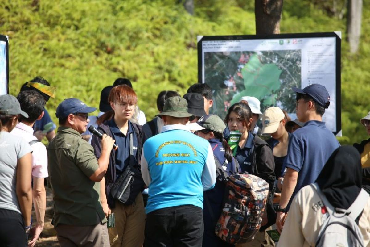 Belantara Foundation libatkan plajar Jepang tanam pohon di Tahura Sultan Syarif Hasyim