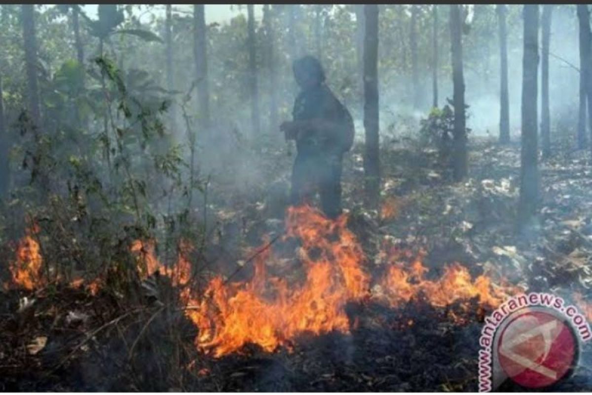 BPBD Ponorogo imbau warga tingkatkan kewaspadaan potensi karhutla