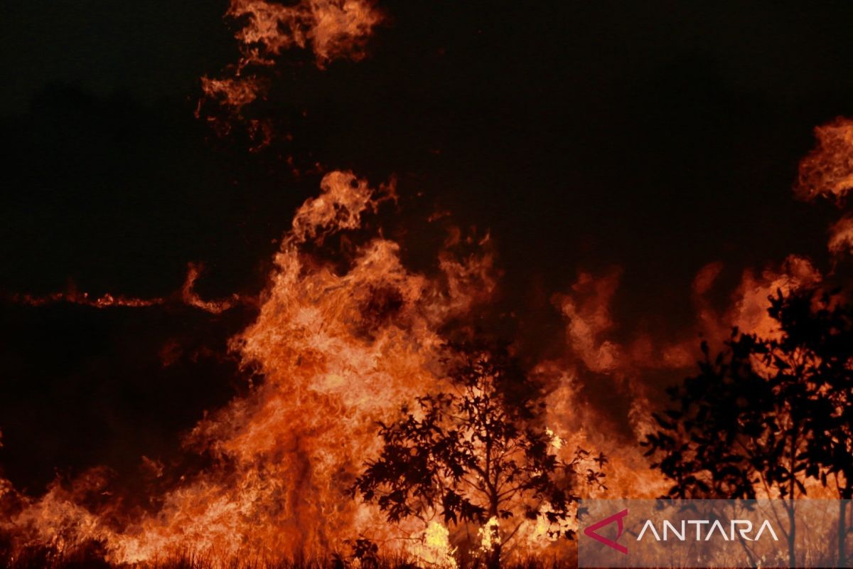 4.345 titik api karhutla terdeteksi di Kalimantan Selatan