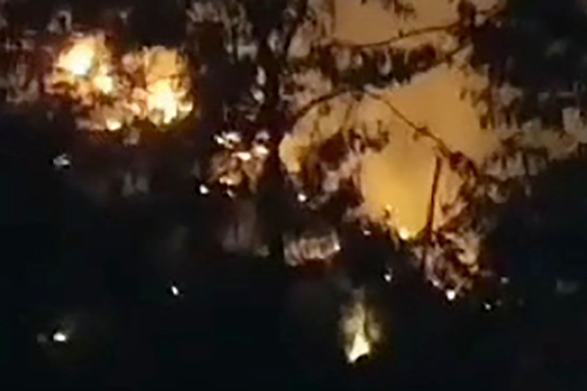 Lahan Perhutani di Cilacap terbakar, berhasil dipadamkan