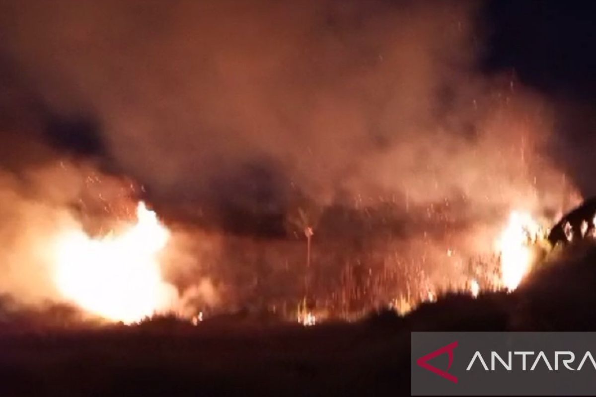 Petugas gabungan padamkan kebakaran hutan dan lahan di Desa Sukamulya Sukabumi