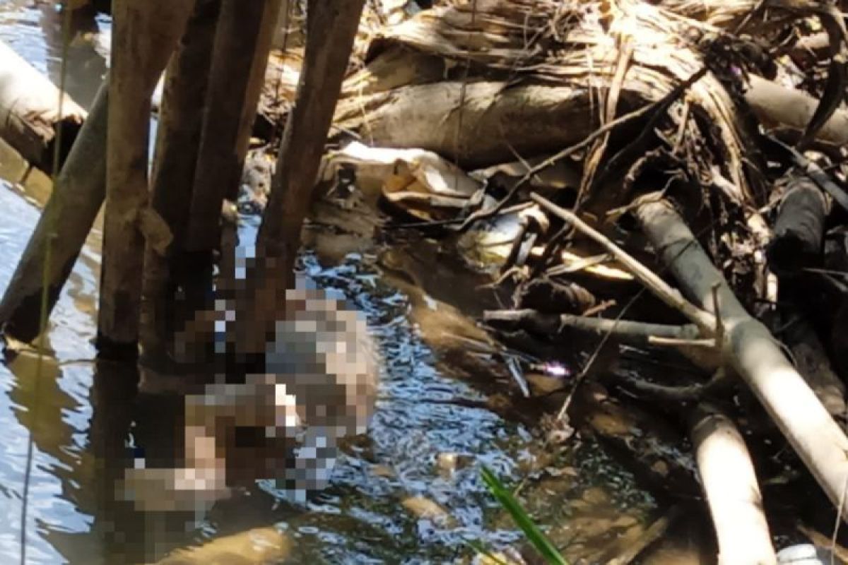 Polres Balangan tangkap ibu pembuang bayi perempuan ke sungai