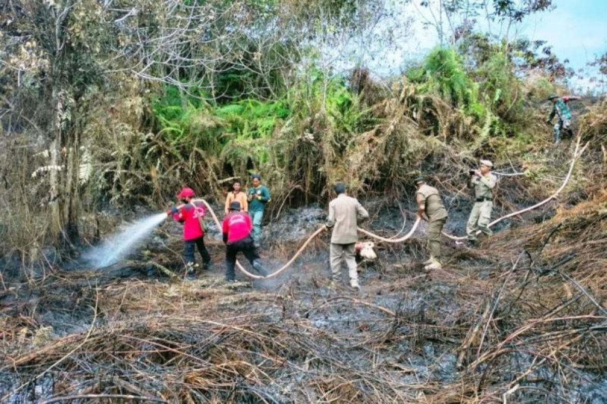 Jumlah titik panas indikasi kebakaran  di Kalimantan Timur bertambah