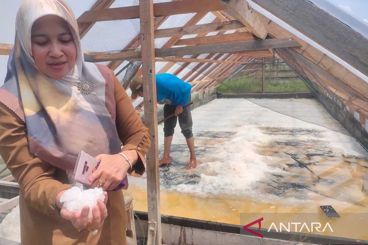 DKP Aceh Timur panen garam capai satu ton