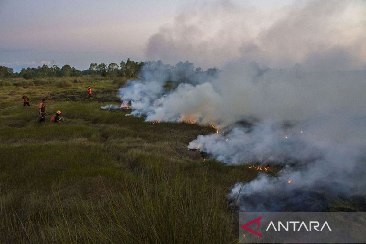 Ada 717 titik panas di Sumatera, termasuk Riau