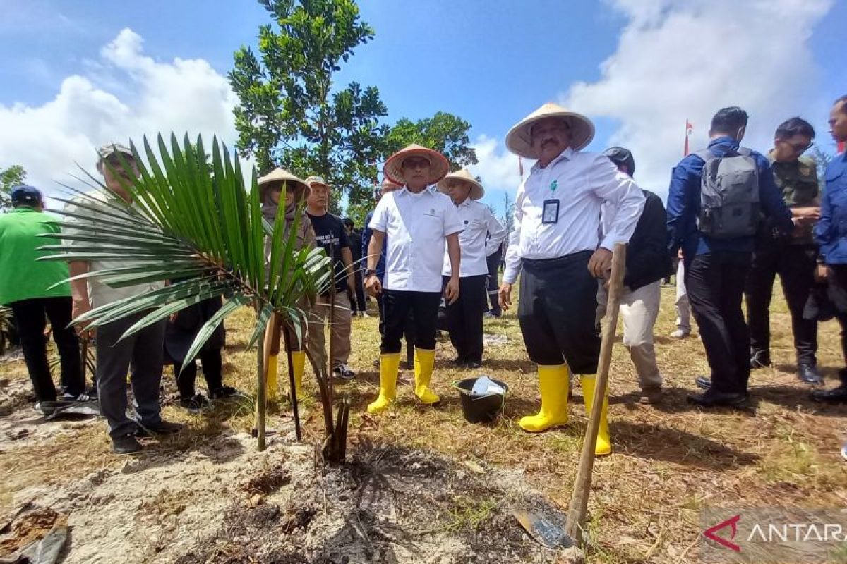 KSP Moeldoko canangkan sejuta tanam sagu di Kampung Reklamasi Timah