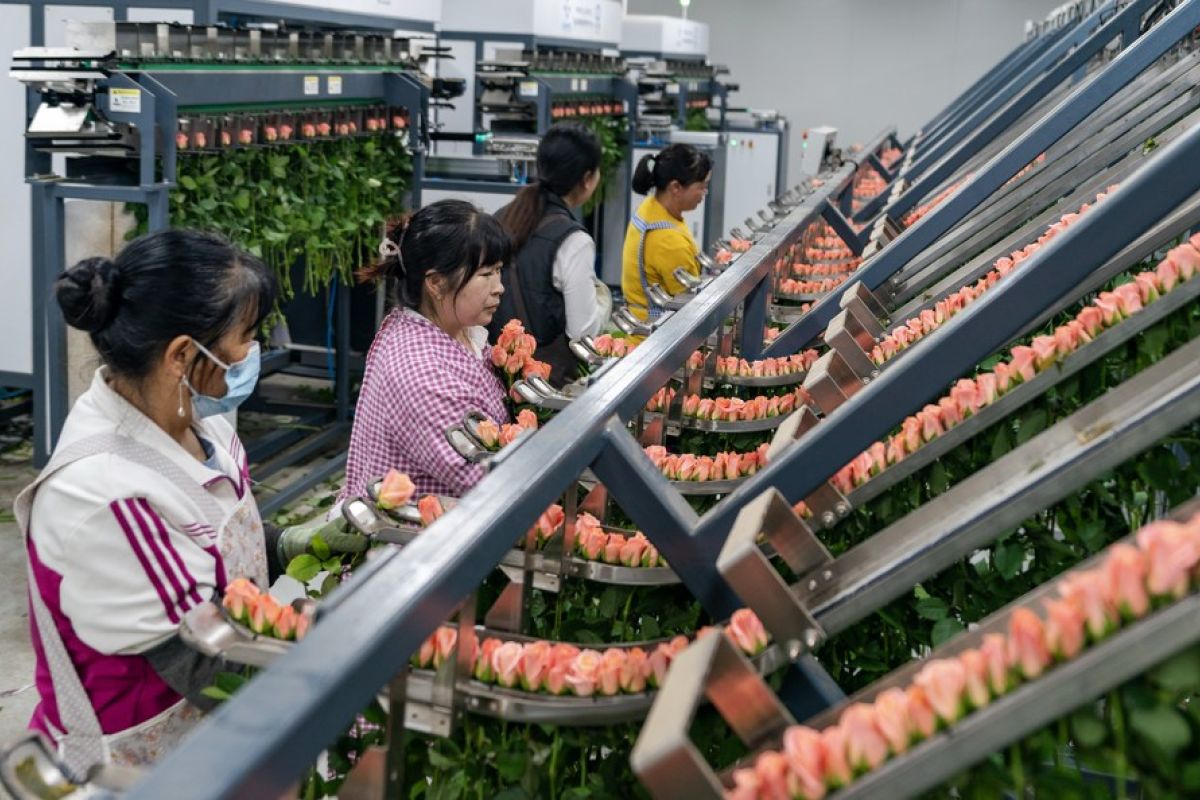 Yunnan di China catat lonjakan ekspor produk pertanian pada H1 2023