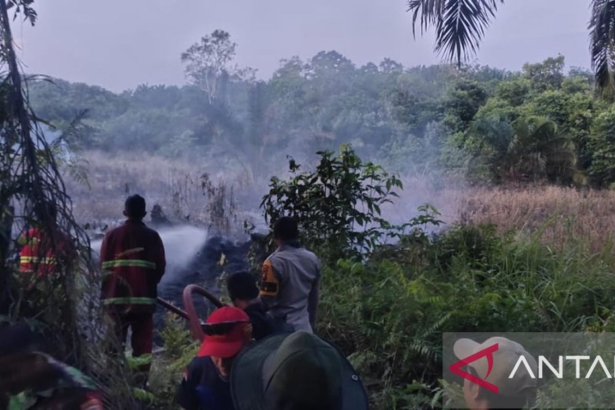 Kebakaran semak belukar terjadi di Siak Hulu