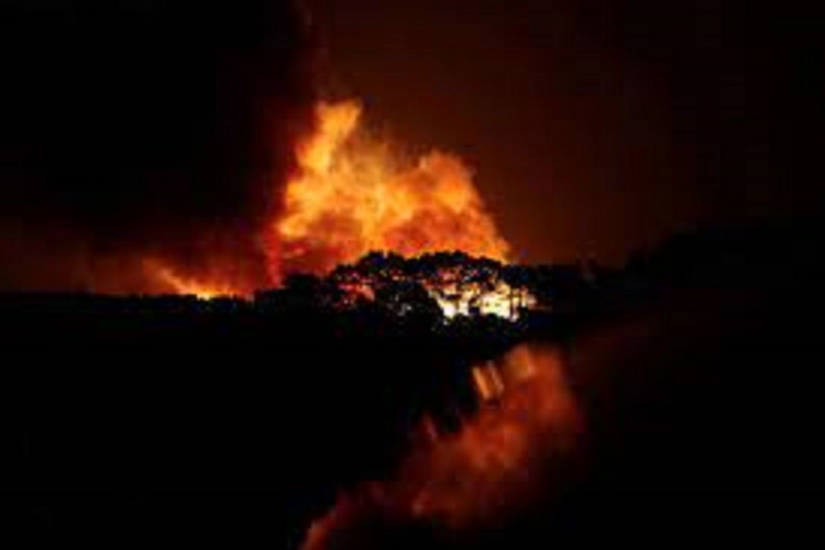 Portugal diamuk kebakaran hutan, lebih dari 1.000 orang terpaksa dievakuasi