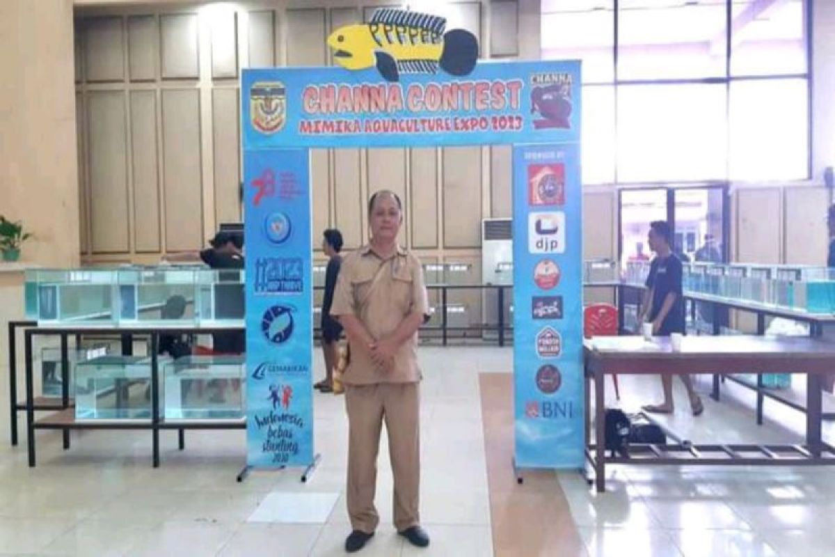 Mimika gelar kontes ikan hias meriahkan HUT Ke-78 Republik Indonesia