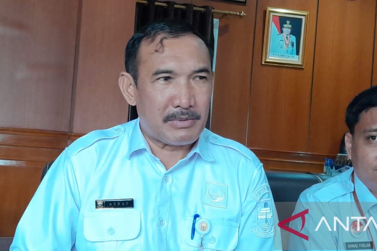 DKP Jambi pasok bibit ikan patin ke Riau dan Sumbar