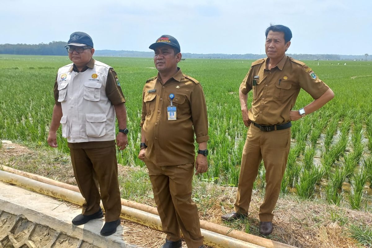 Banten pinjamkan pompa untuk bantu petani airi sawah