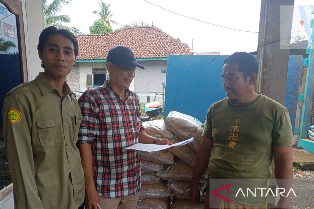 Pemkab Batanghari berikan bantuan benih padi ke petani