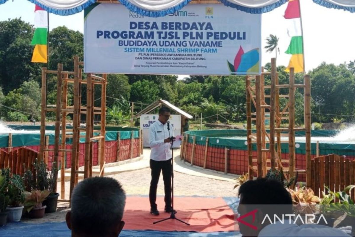 Dinas Perikanan Belitung gandeng dua BUMN kembangkan budidaya udang dan kepiting