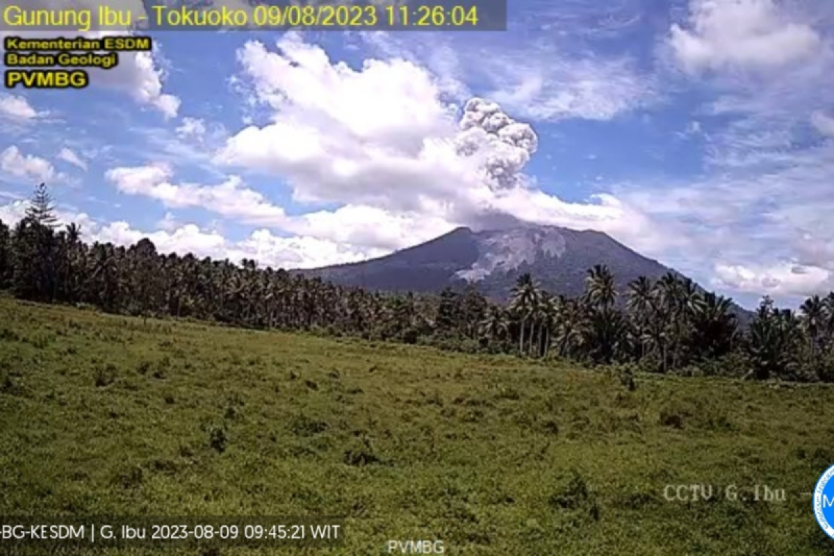 Gunung Ibu di Maluku Utara erupsi dengan tinggi kolom letusan capai 1000 meter