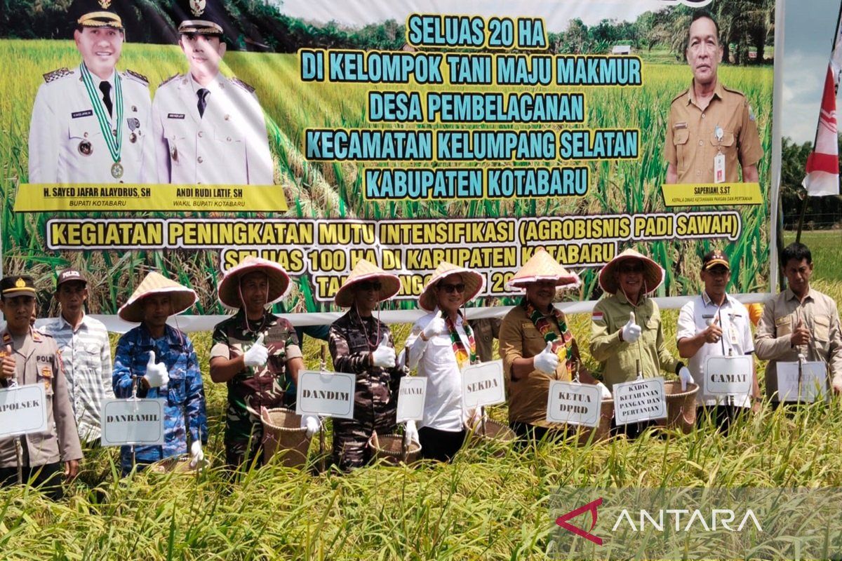 Kemandirian pangan berbasis agrobisnis padi terus di galakkan pemkab Kotabaru