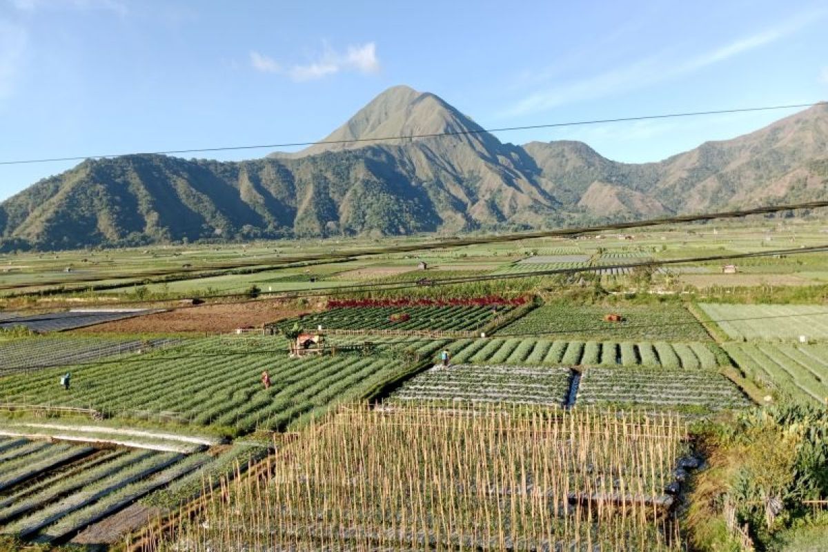 Kemarau 2023, BMKG sebut suhu di kaki Gunung Rinjani capai 11,5 derajat Celsius