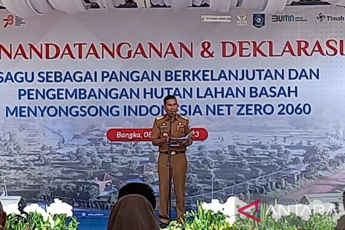 Pemprov Babel kembangkan sagu di 176.144 hektare lahan bekas tambang