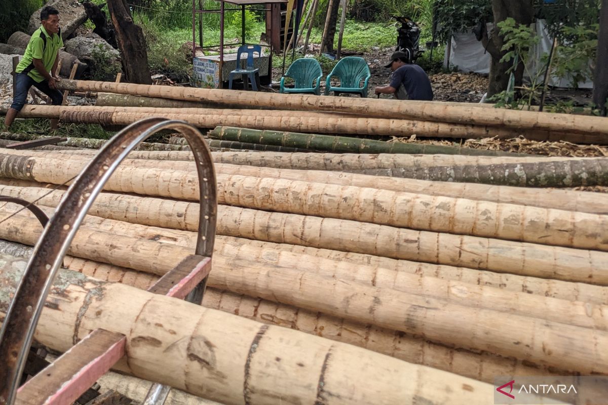 Omzet pedagang pohon pinang di Medan minimal Rp1 juta sehari