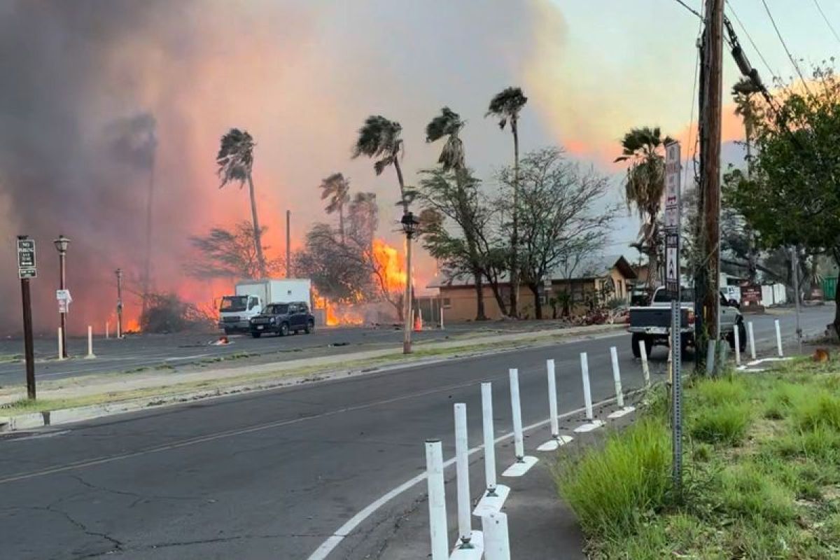 Enam orang meninggal akibat kebakaran hutan di Hawaii