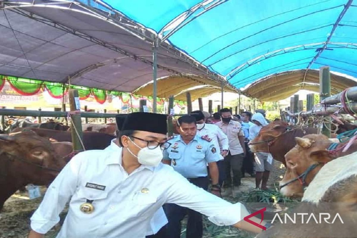 Pamekasan dukung swasembada daging 2026 dengan 'Sang Sultan'