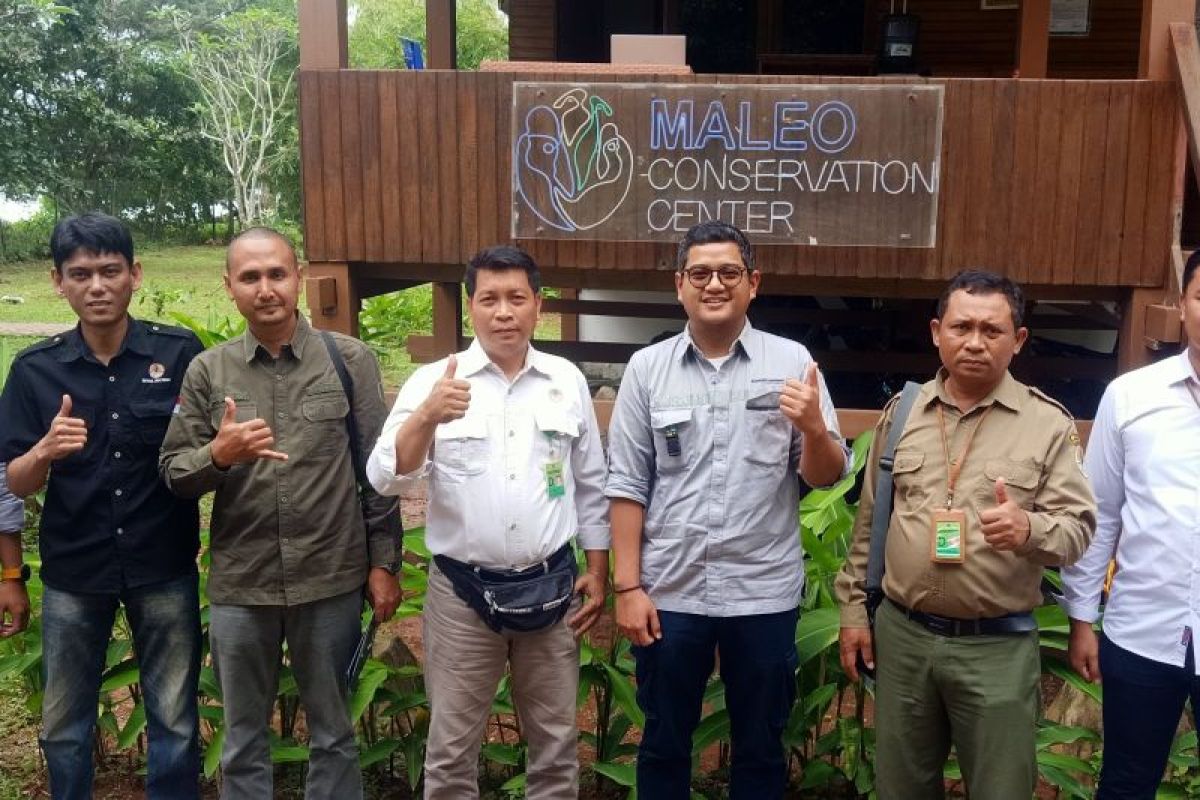 BKSDA Sulawesi Tengah kunjungi pusat Konservasi Maleo DSLNG