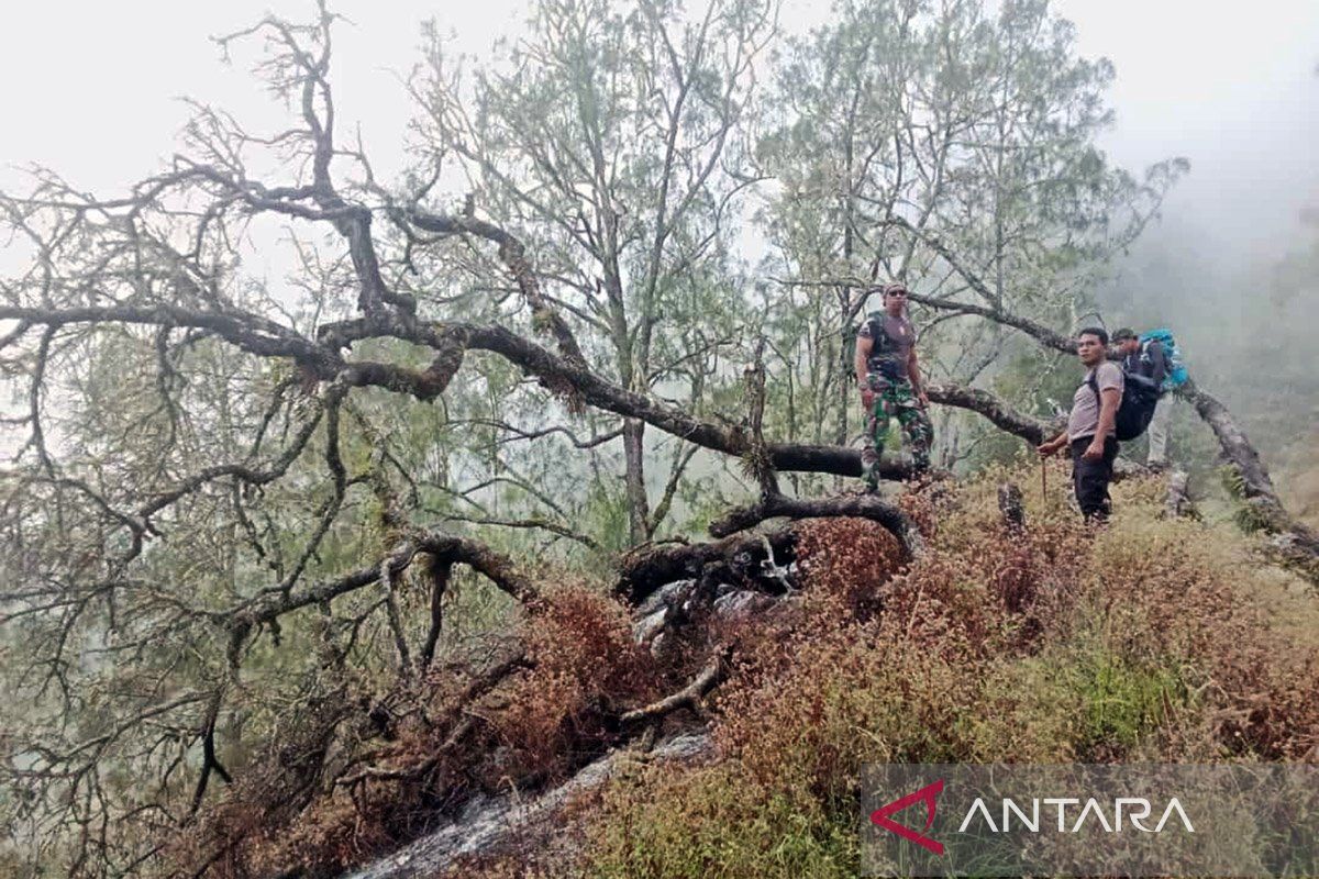 Kebakaran lahan di jalur pendakian Gunung Rinjani telah padam