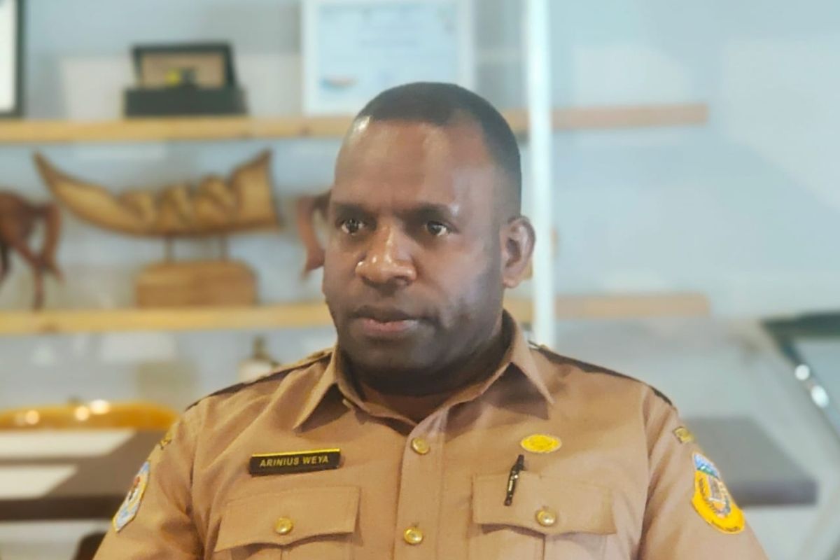 Dinkes Papua minta puskesmas gencar sosialisasikan bahaya ISPA ke warga
