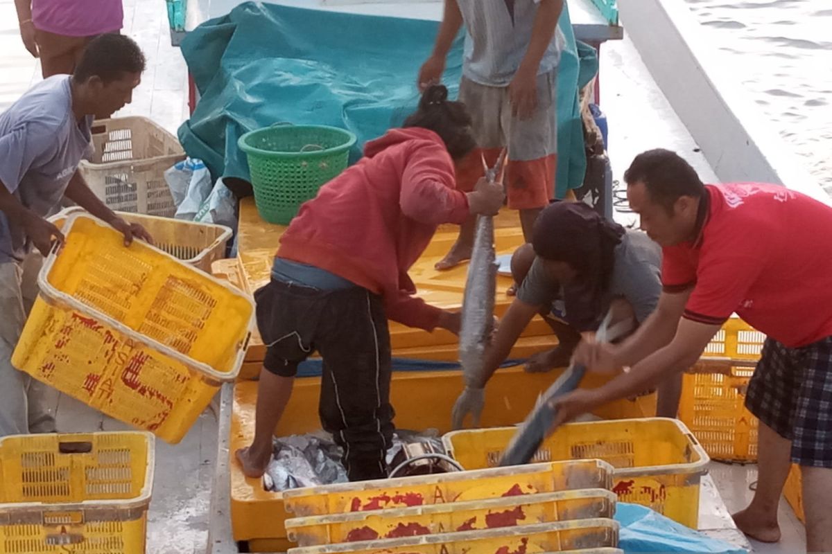 Produksi ikan nelayan di PPN Sungailiat ditargetkan capai 4.200 ton