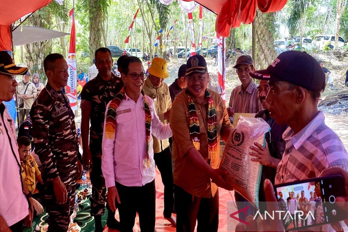 Kotabaru DPRD Deputy Chairman concerns many rice fields converted