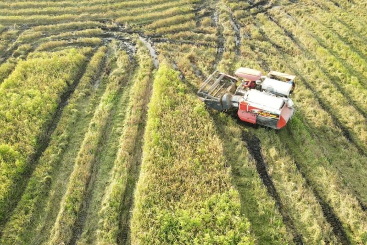 DKPP Seruyan dorong peningkatan produksi pertanian
