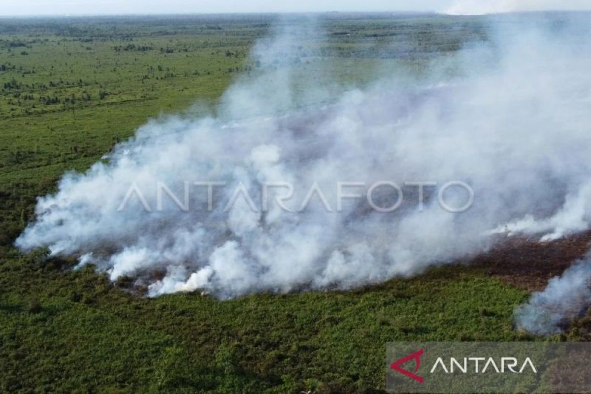 Aceh farmers should help prevent wildfires during dry season: BMKG