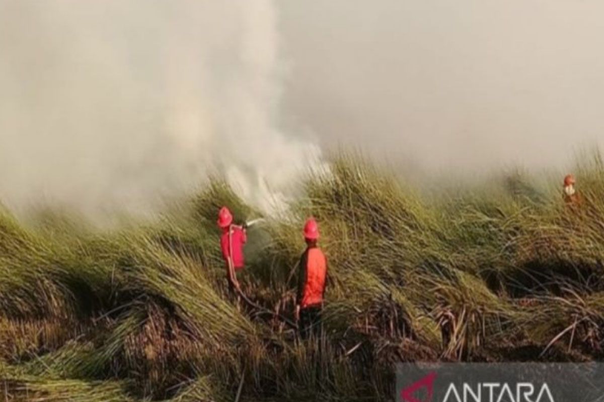 BPBD Tanah Bumbu Kalimantan Selatan padamkan karhutla seluas 20 hektare