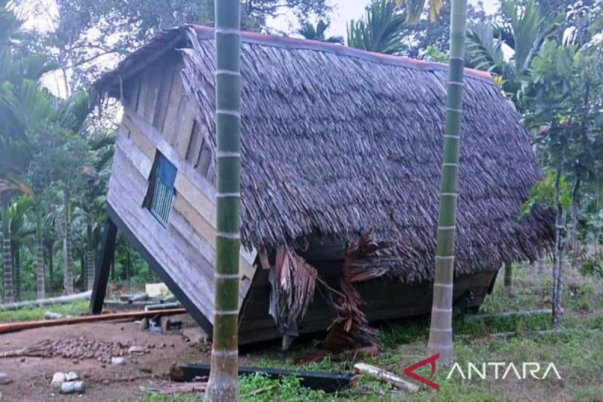 Sepasang gajah liar obrak-abrik kebun warga di Sungai Mas Aceh Barat