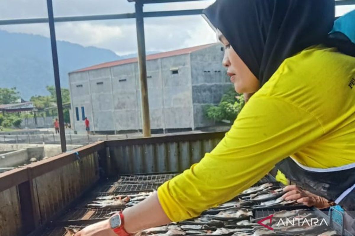 Mukomuko usulkan bantuan alat pengolahan ikan untuk poklahsar