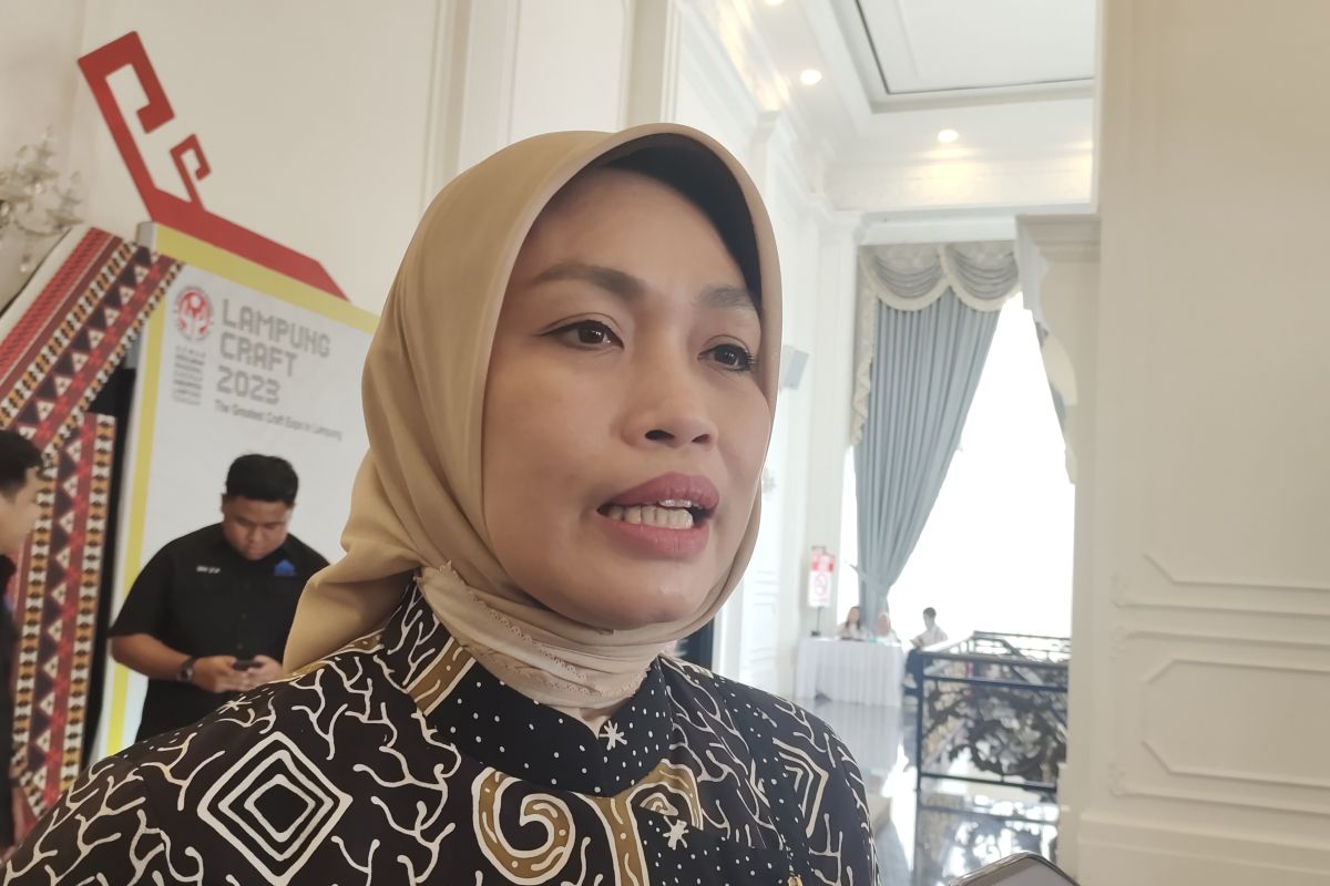 Dinas PPPA Lampung gencar sosialisasi cegah pernikahan dini