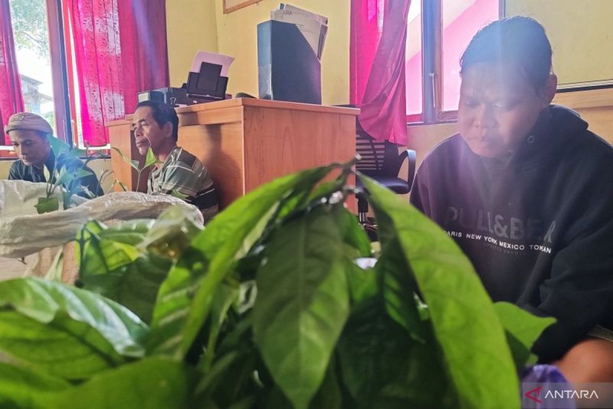 Dinas PMD Tapin dorong Bumdes Buni'in Jaya berbisnis kopi