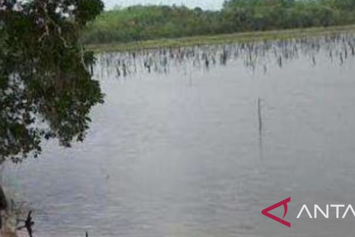Perumda Titra Bangka siapkan 30 juta kubik air guna hadapi kemarau