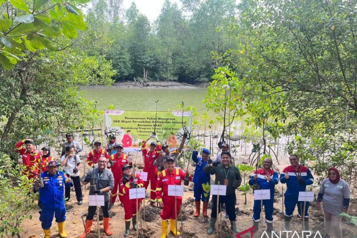 SKK Migas Kalimantan-Sulawesi sudah tanam lebih 200 ribu pohon
