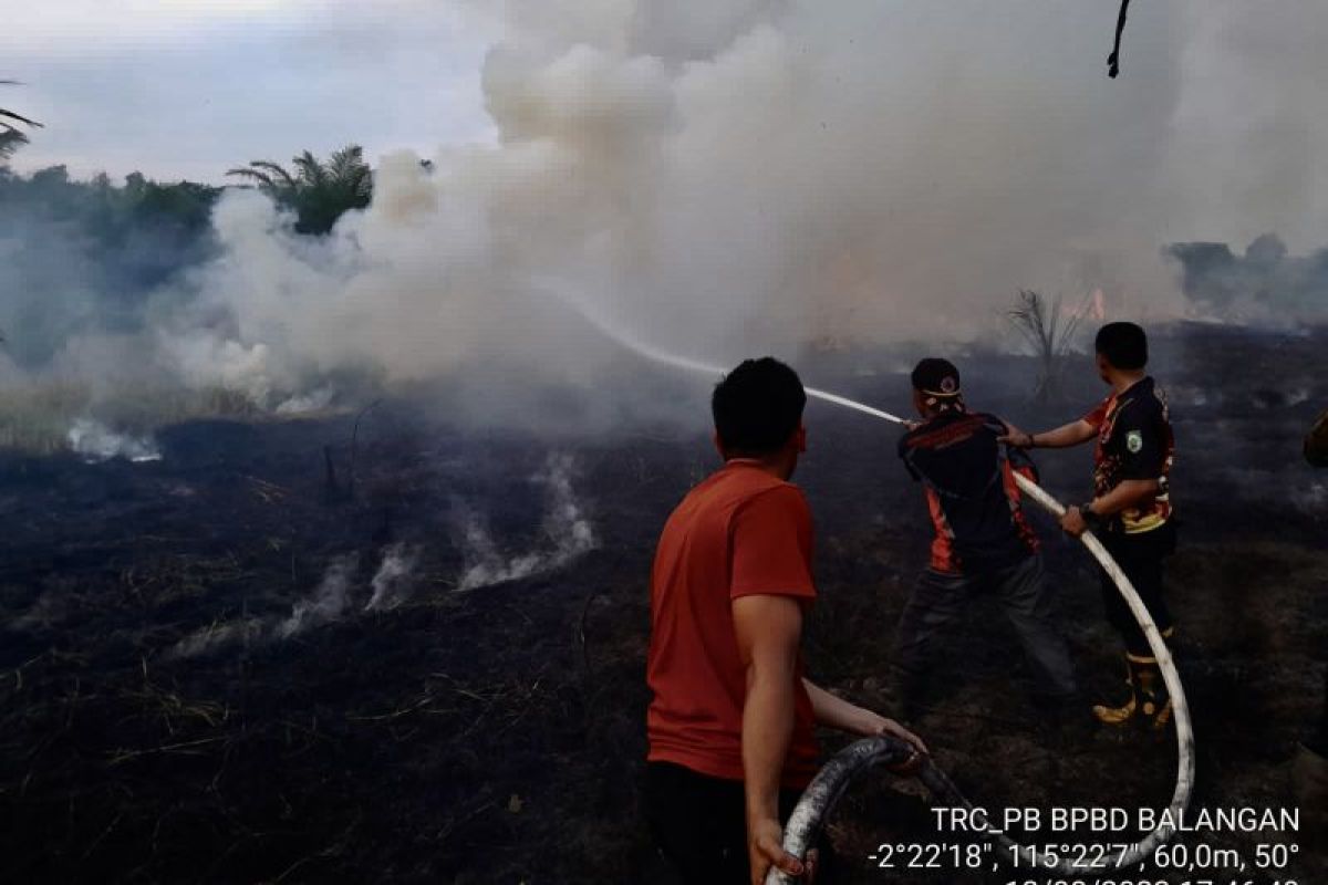 Balangan's BPBD, police, residents stamp out 2.5 hectares peatland fire