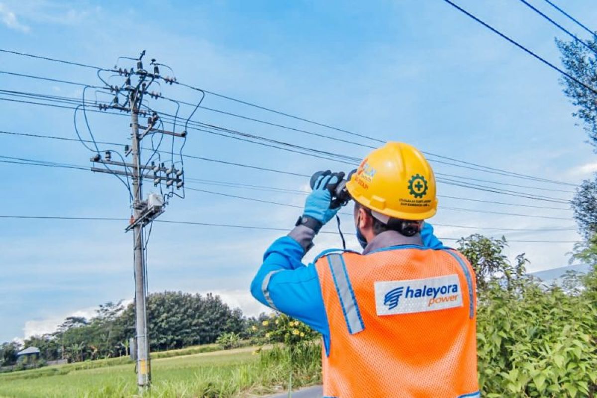 PLN catatkan penjualan listrik di Bali utara meningkat 3,39 persen