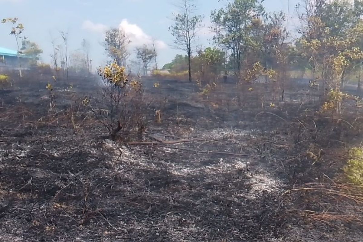 Dua peristiwa kebakaran lahan terjadi di Bintan Timur dalam sehari