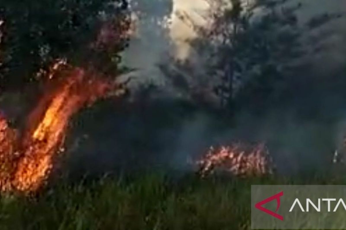 Bangka berdayakan masyarakat jaga hutan