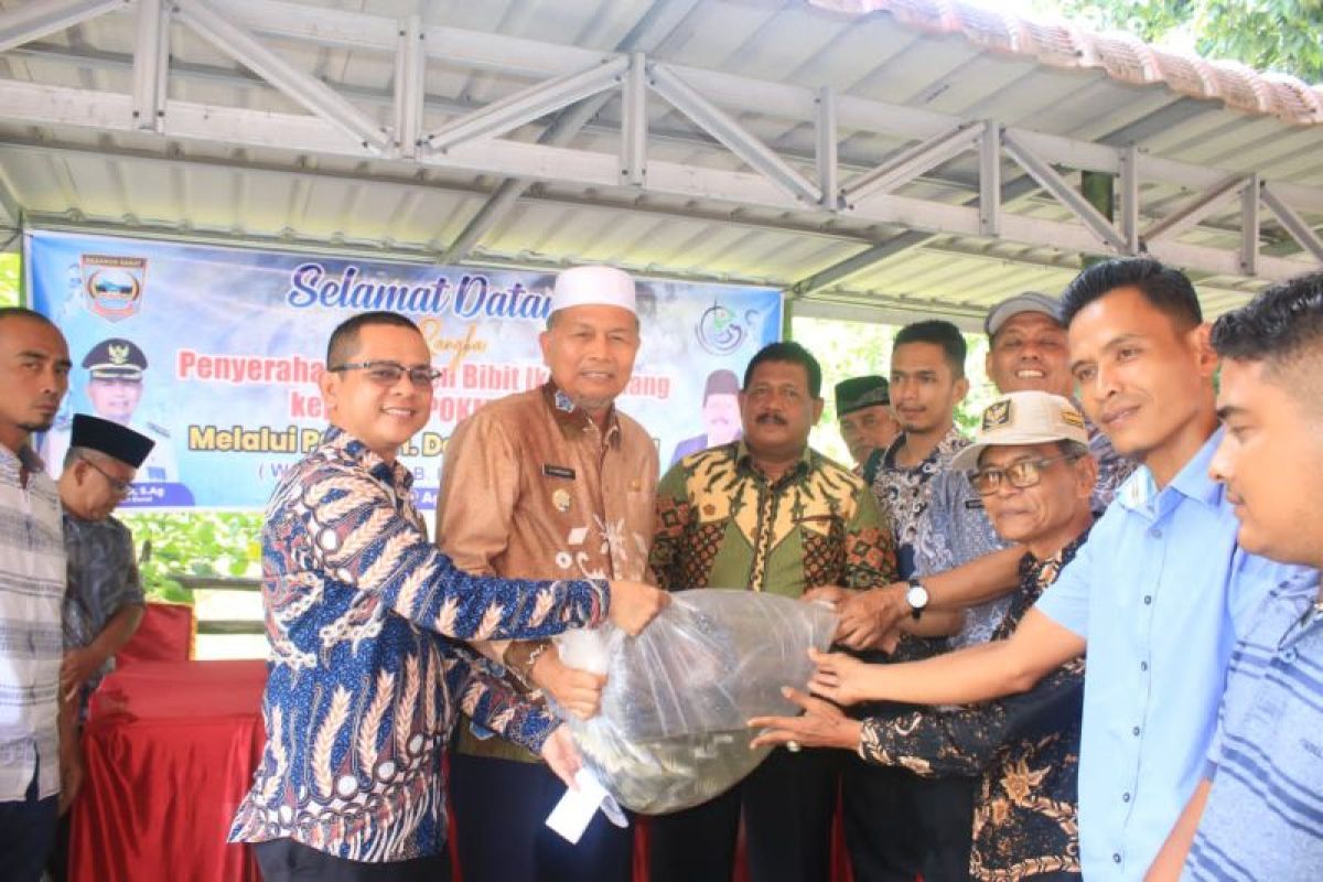 Pasaman Barat targetkan produksi satu juta ekor bibit ikan di BBI