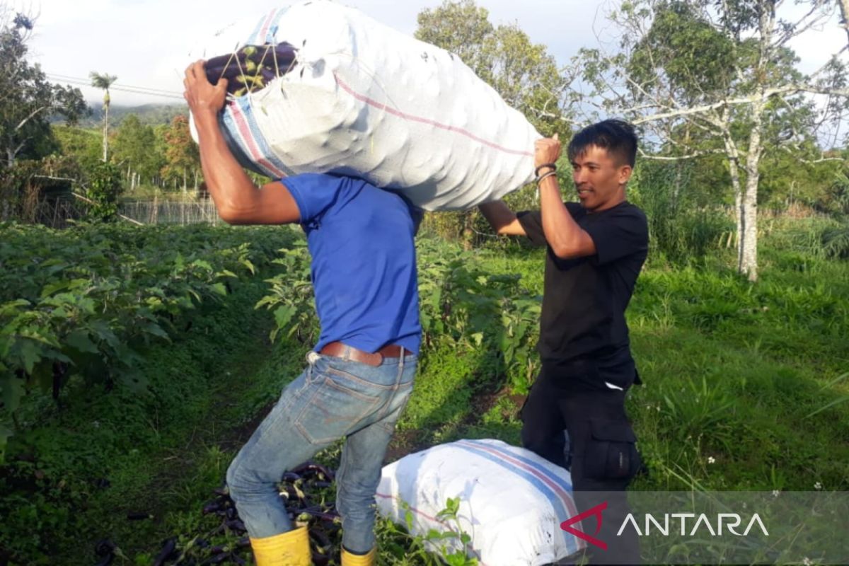 Program CSR AQUA Solok Bantu Tingkatkan Perekonomian Warga